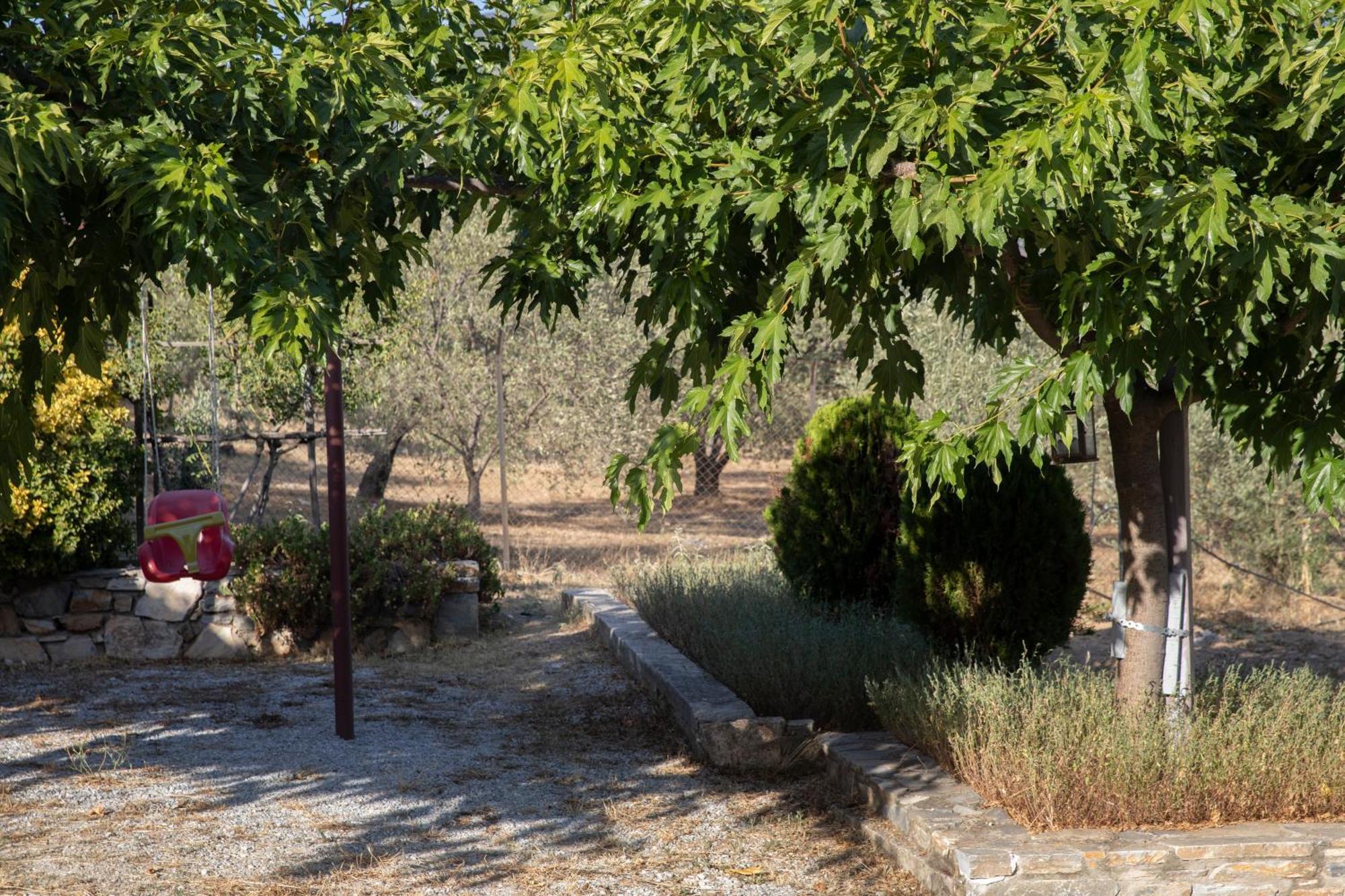 Apartment Viewing Garden Golos Dış mekan fotoğraf